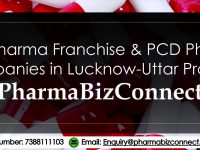 Top Pharma Franchise & PCD Pharma Companies in Lucknow -uttar pradesh