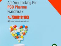 PCD Pharma Franchise Business