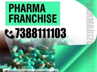 Franchise Pharmaceutical Companies